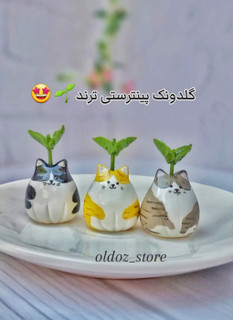 گلدونک یا جاعودی گربه مینیاتوری گربه با جوانه در سه رنگ