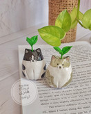 گلدونک یا جاعودی گربه مینیاتوری گربه با جوانه در سه رنگ