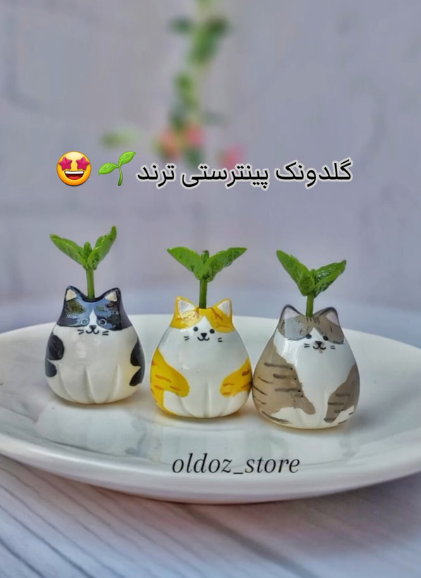 گلدونک گربه ،جاعودی گربه