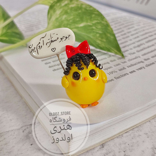 روداشبوردی جوجه