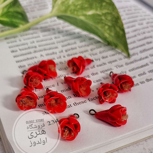 گل انار خمیری