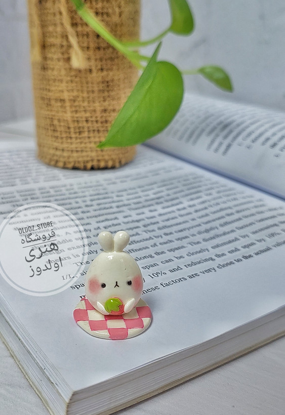 روداشبوردی خرگوش