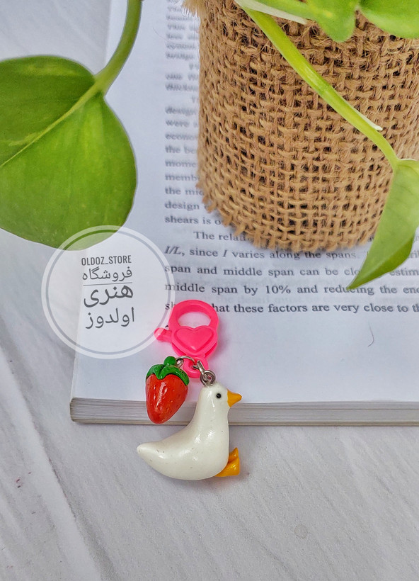 چارم بگ اردک